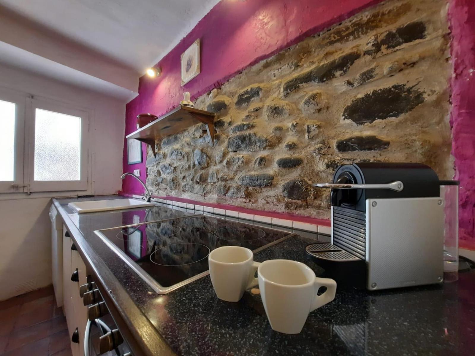 Casa Rural Cal Rocco Porta Del Pirineu Побла де Сегур Екстериор снимка